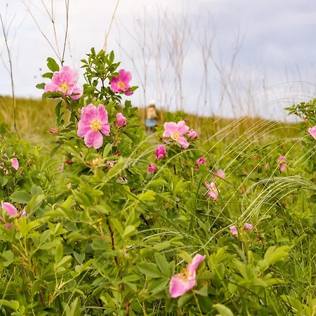 Forest Retreat In Hambachtal Boutique *