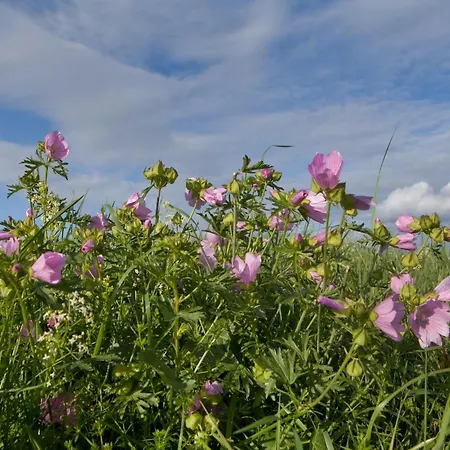 Appartement Forest Retreat In Hambachtal Boutique *