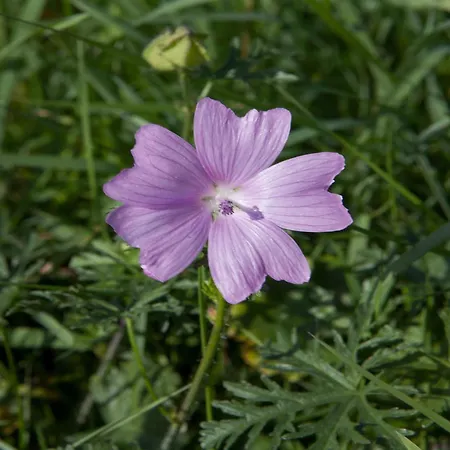 Forest Retreat In Hambachtal Boutique