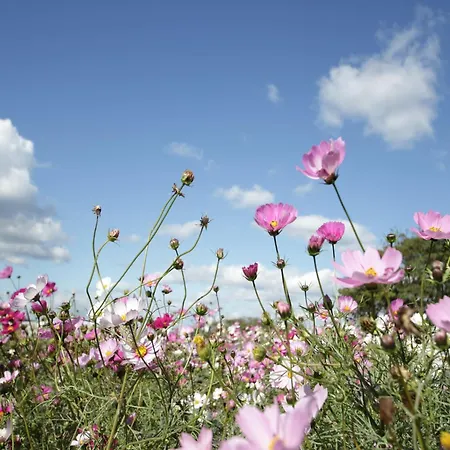 Appartement Forest Retreat In Hambachtal Boutique