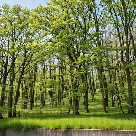 Appartement Forest Retreat In Hambachtal Boutique Oberhambach