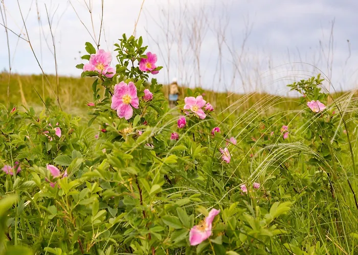 Forest Retreat In Hambachtal Boutique *