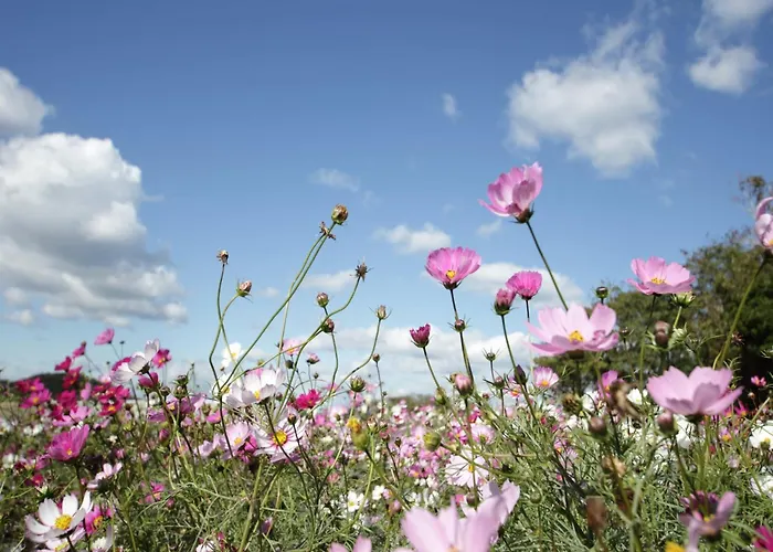 Apartamento Forest Retreat In Hambachtal Boutique