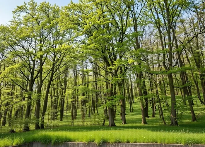 アパート Forest Retreat In Hambachtal Boutique Oberhambach